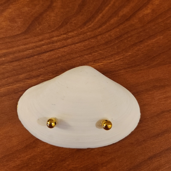 Decorative Trinket Dish Seashell with Monkey and Leopard Handpainted Design - Picture 3 of 3